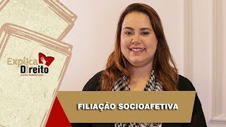 Explica Direito Filiação Socioafetiva  2019 [upl. by Aneger]