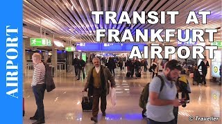 TRANSIT WALK AT FRANKFURT Airport FRA Terminal 1  Connection Flight Transfer Arriving amp Departing [upl. by Niad]